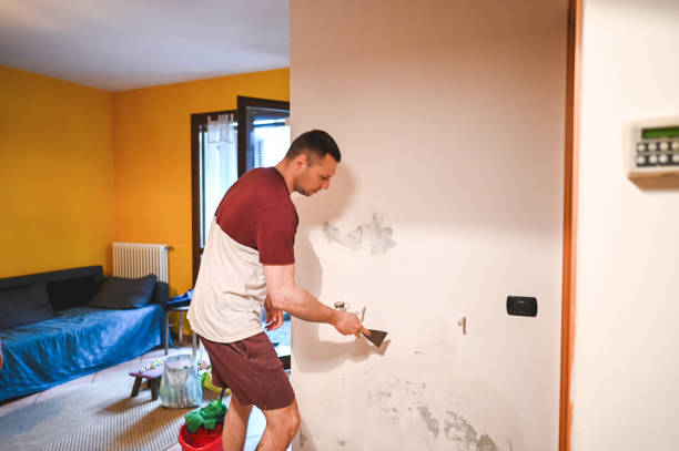 Professional Mold Remediation in Unalaska, AK